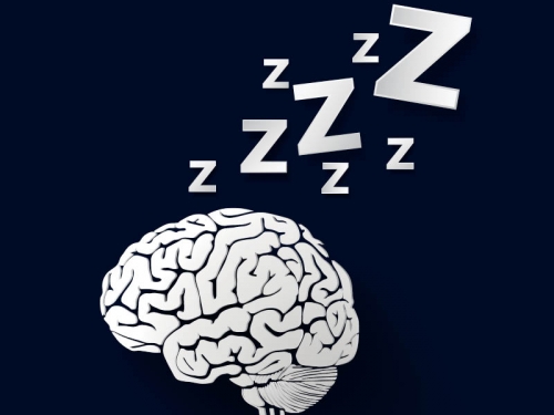 Πώς ο ύπνος «ξεπλένει» τις τοξίνες από τον εγκέφαλο;